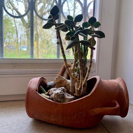 Ferienwohnung "Duenenblick" ザンクト・ペーター・オルディング エクステリア 写真